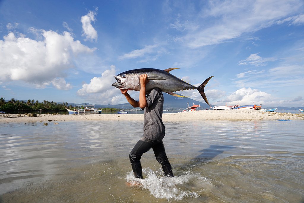 UNDP supports the development of the National Tuna Management Plan