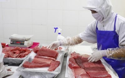 Governance and sustainable global fisheries in the context of the COVID-19 pandemic