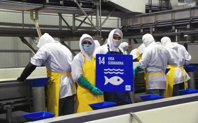 UNDP project supports the sustainable harvesting of key Ecuadorian fisheries