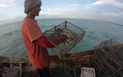 World Fisheries Day 2020: Indonesian fisheries enduring the challenge despite all odds.