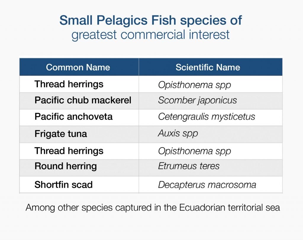 FishSource - Pacific chub mackerel - NW Pacific