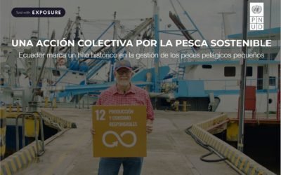 Ecuador marca un hito histórico en la gestión de los peces pelágicos pequeños